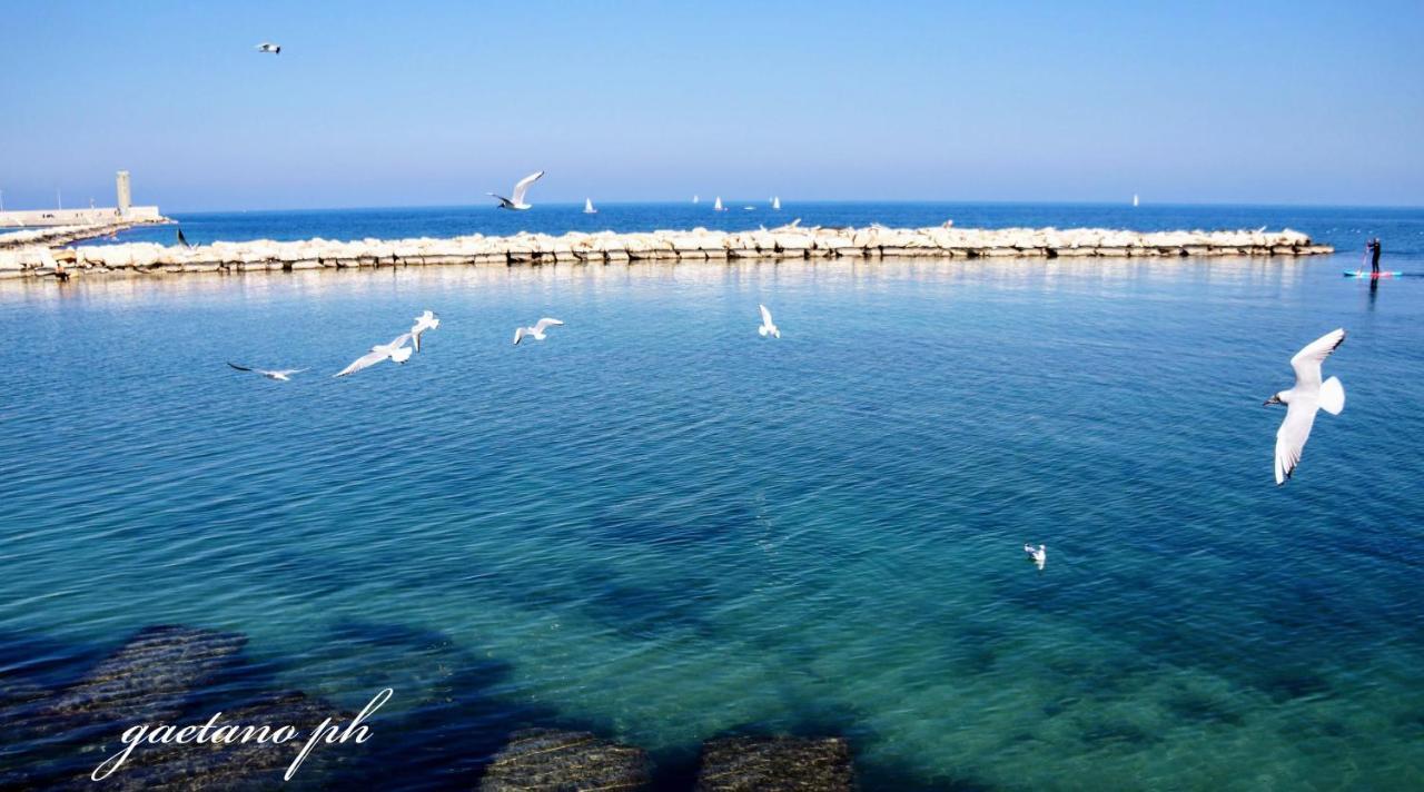 Putignani 210 Apartment Bari Exteriér fotografie
